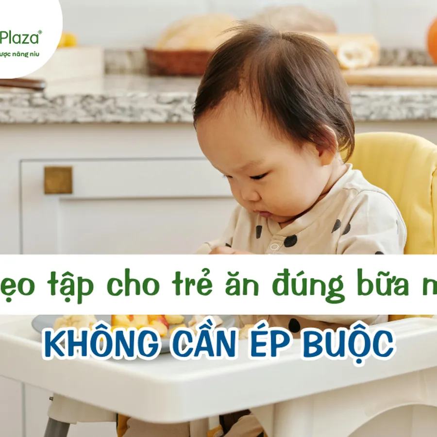 Cách Tập Cho Trẻ Ăn Đúng Bữa Mà Không Cần Ép Buộc