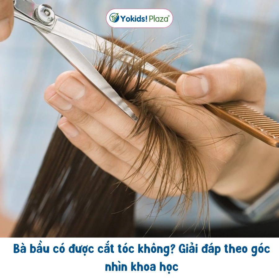 Bà bầu có được cắt tóc không? Giải đáp theo góc nhìn khoa học