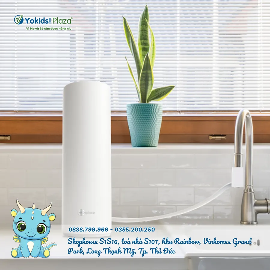 Máy Lọc Nước Tinh Khiết Ecosphere