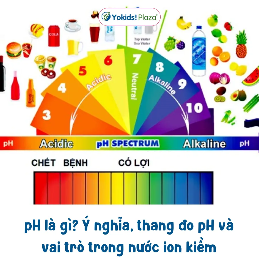 pH là gì? Ý nghĩa, thang đo pH và vai trò trong nước ion kiềm