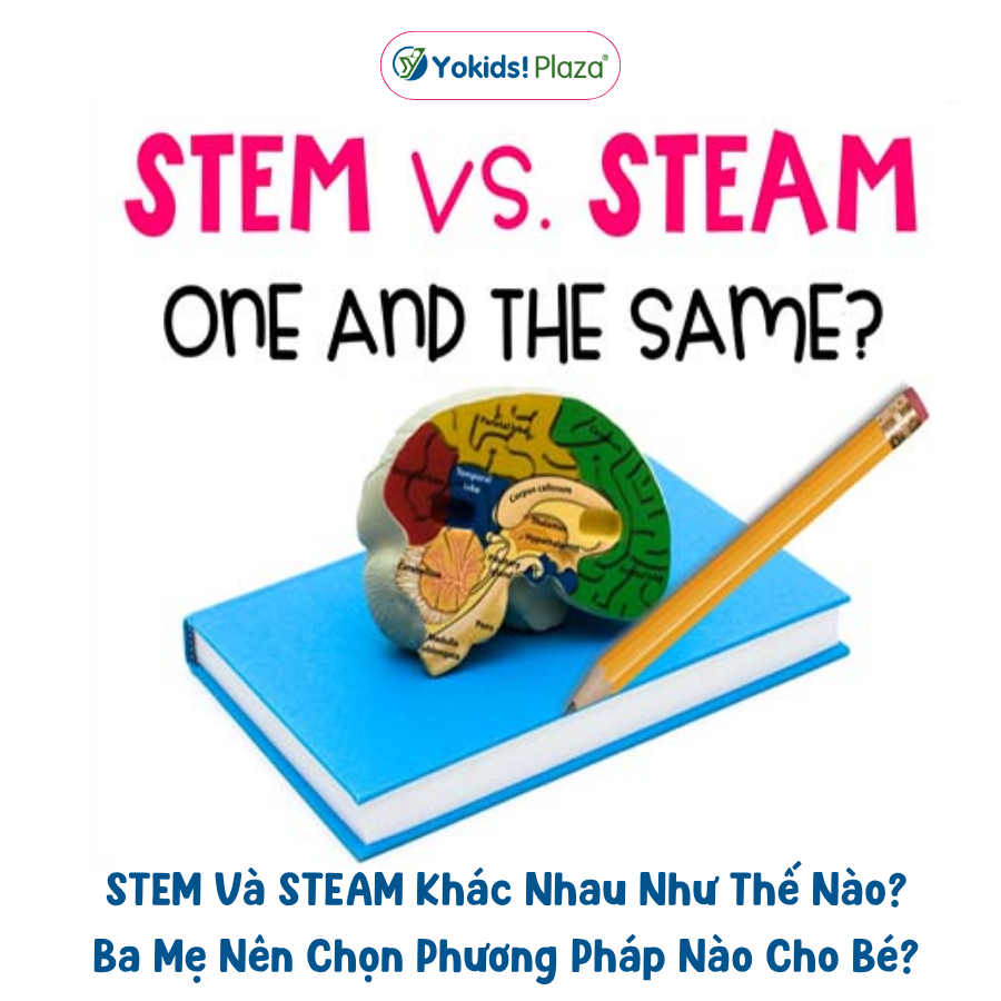 STEM Và STEAM Khác Nhau Như Thế Nào? Ba Mẹ Nên Chọn Phương Pháp Nào Cho Bé?