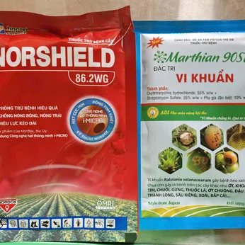 🔥 COMBO ĐẶC TRỊ BỆNH VÀNG LÁ – THỐI RỄ TRÊN CHUỐI (Norshield 86.2WG + Marthian 90SP)
