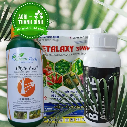 Combo Cây khỏe - Rễ bền - Khống chế Panama trên chuối combo  phân  bón Phân bón lá Combo bảo vệ humic  tưới  gốc  kích  rễ kích  rễ  cà  phê