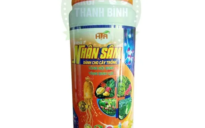 PHÂN BÓN NHÂN SÂM DÀNH CHO CÂY TRỒNG - GIẢI PHÁP TĂNG NỘI SINH, TĂNG NĂNG SUẤT TOÀN DIỆN