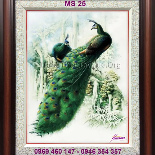 Tranh thêu chim công MS 25