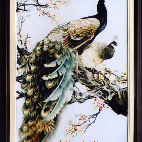 Tranh thêu con công 01