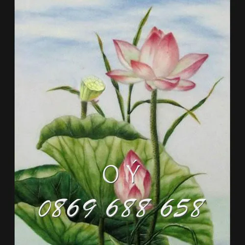 TRANH THÊU HOA SEN MS 8374