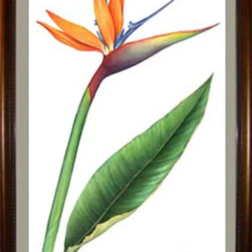 TRANH THÊU HOA THIÊN ĐIỂU MS 676