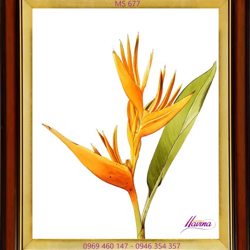 TRANH THÊU HOA THIÊN ĐIỂU MS 677