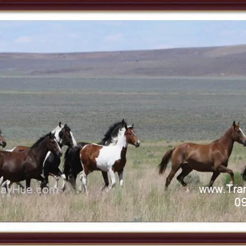Tranh thêu tay truyền thống Mã Đáo Thành Công 25