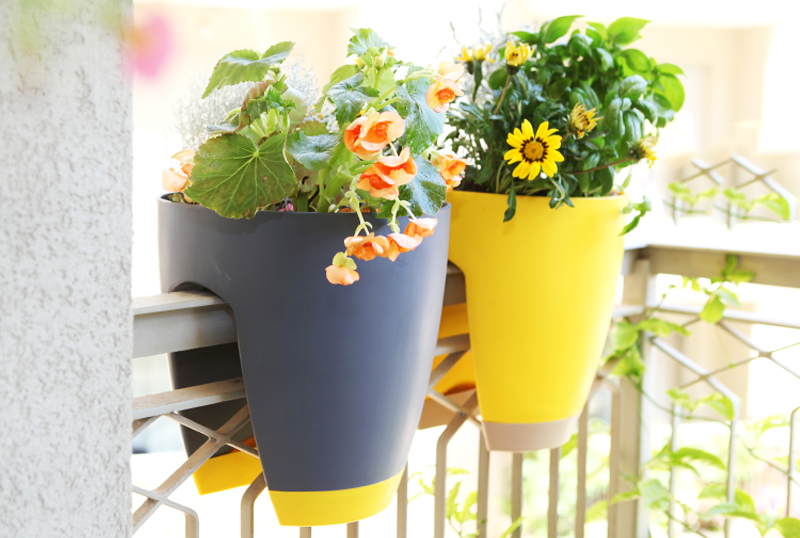 Góc "chill" mỗi ngày với những chiếc chậu trồng hoa ban công rực rỡ. Góc "chill" mỗi ngày với những chiếc chậu trồng hoa ban công rực rỡ.