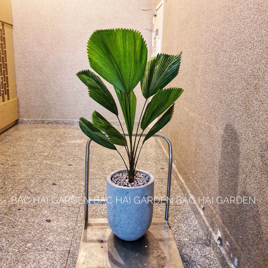 TIẾT LỘ Mẫu Chậu Trồng Cây Xi Măng Khiến Hàng Xóm Phải Trầm Trồ Ghen Tị. TIẾT LỘ Mẫu Chậu Trồng Cây Xi Măng Khiến Hàng Xóm Phải Trầm Trồ Ghen Tị.