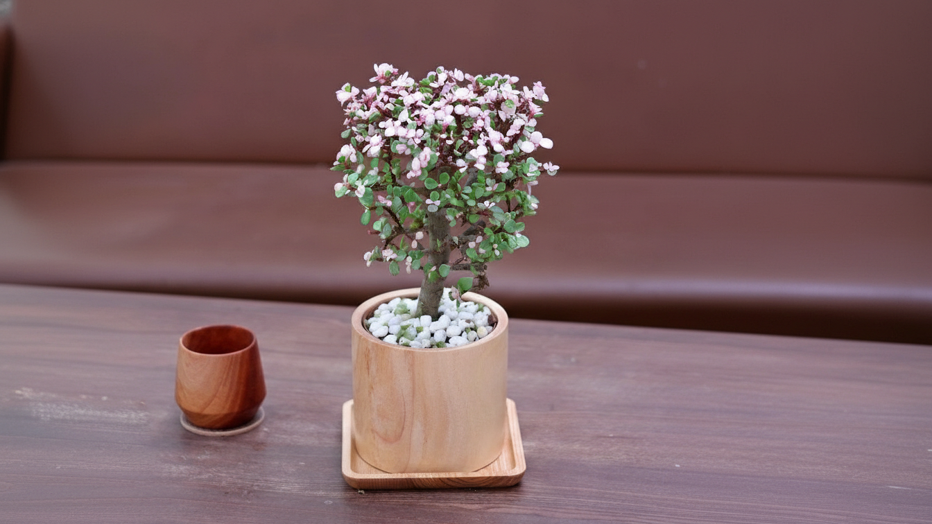 Cây xanh bonsai tạo cảm giác yên bình cho căn phòng. Cây xanh bonsai tạo cảm giác yên bình cho căn phòng.