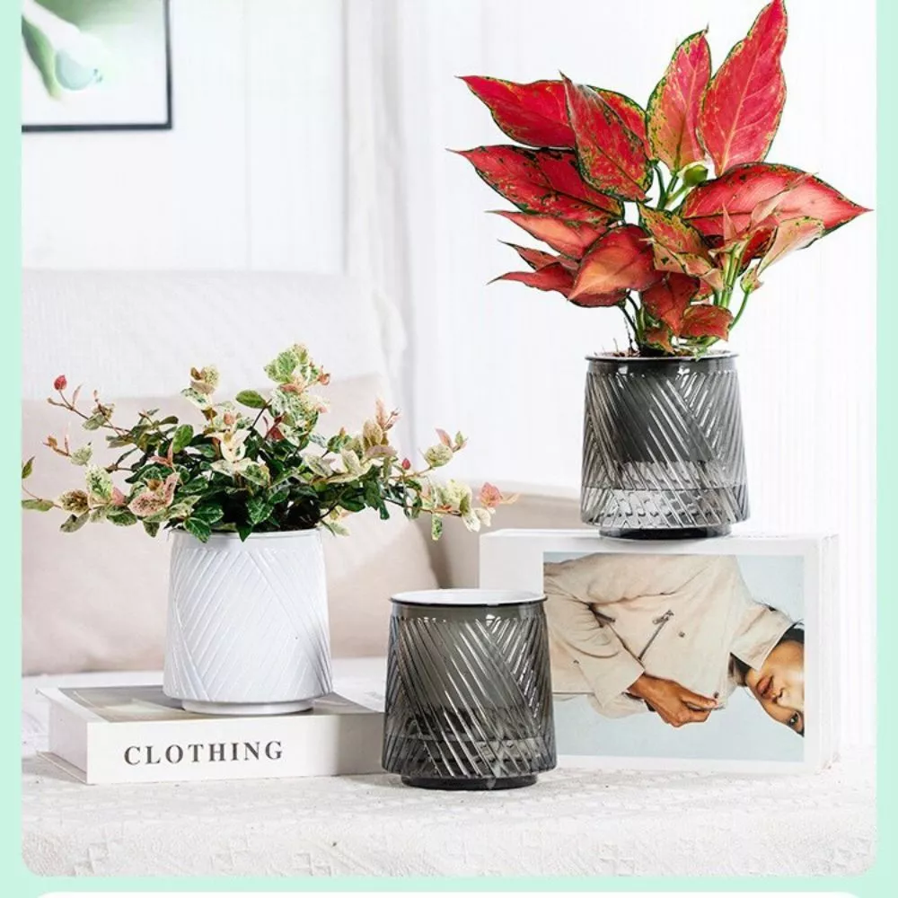 Điểm nhấn tinh tế cho không gian sống hiện đại - chậu hoa đẹp thủy sinh. Điểm nhấn tinh tế cho không gian sống hiện đại - chậu hoa đẹp thủy sinh.