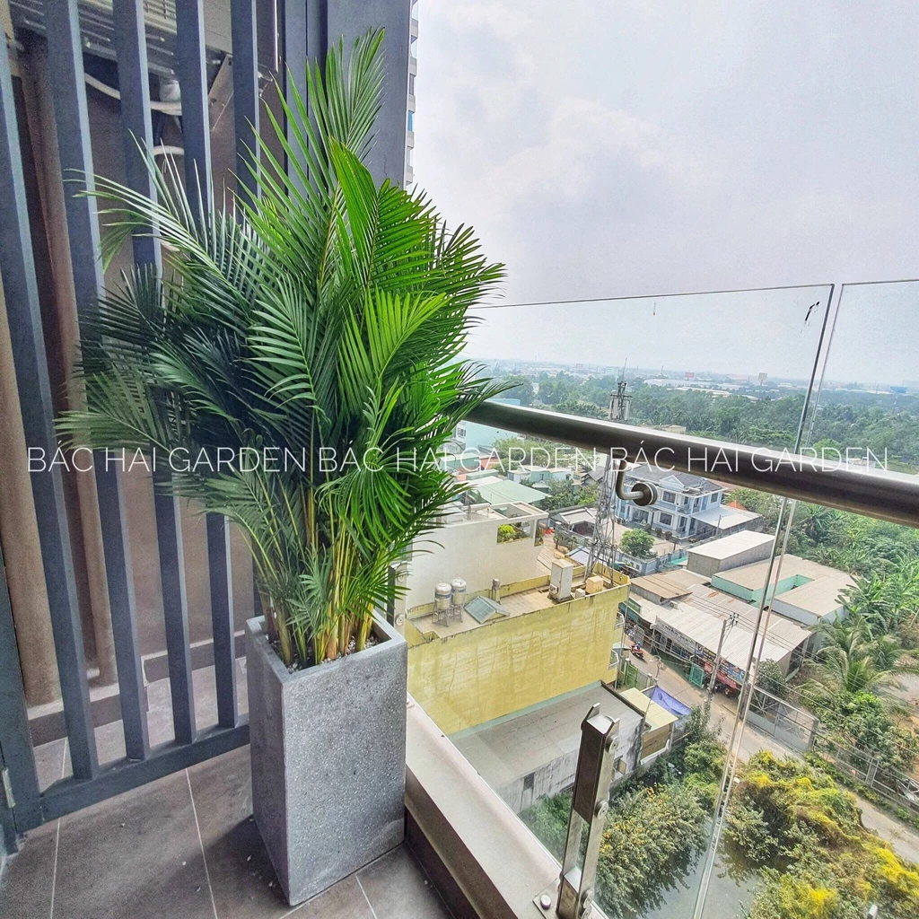 Tuyệt Phẩm Chậu Xi Măng Trồng Cây D30xH50 - Điểm Nhấn KIẾN TRÚC Cho Mọi Nhà. Tuyệt Phẩm Chậu Xi Măng Trồng Cây D30xH50 - Điểm Nhấn KIẾN TRÚC Cho Mọi Nhà.