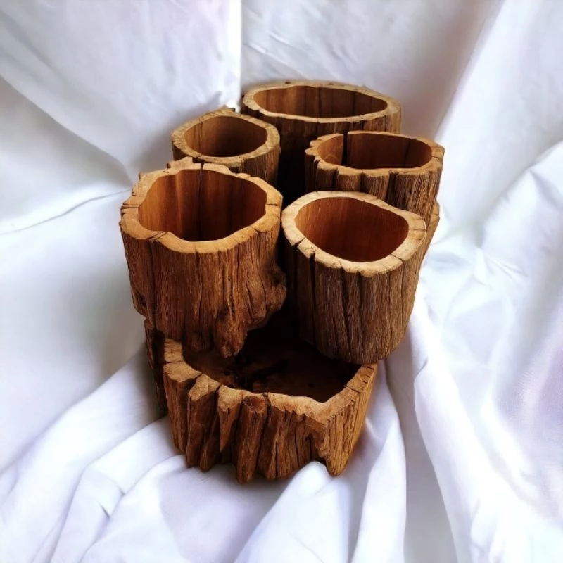 Lựa chọn chậu trồng lan thông minh, chăm cây nhàn tênh. Lựa chọn chậu trồng lan thông minh, chăm cây nhàn tênh.