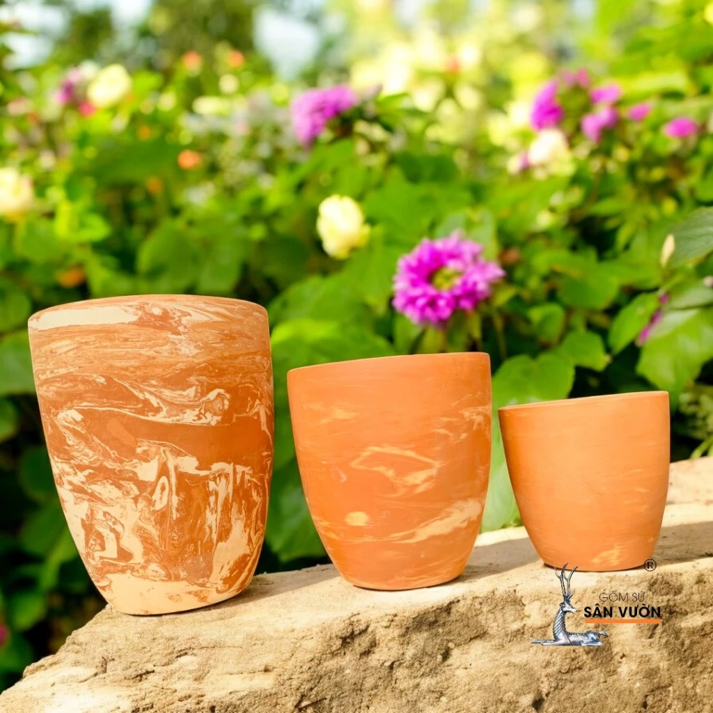 Review Bộ 3 Chậu Gốm Marble: Liệu Có Đáng Tiền Cho Một Bộ Chậu Gốm Trồng Cây Cảnh Sân Vườn? Review Bộ 3 Chậu Gốm Marble: Liệu Có Đáng Tiền Cho Một Bộ Chậu Gốm Trồng Cây Cảnh Sân Vườn?