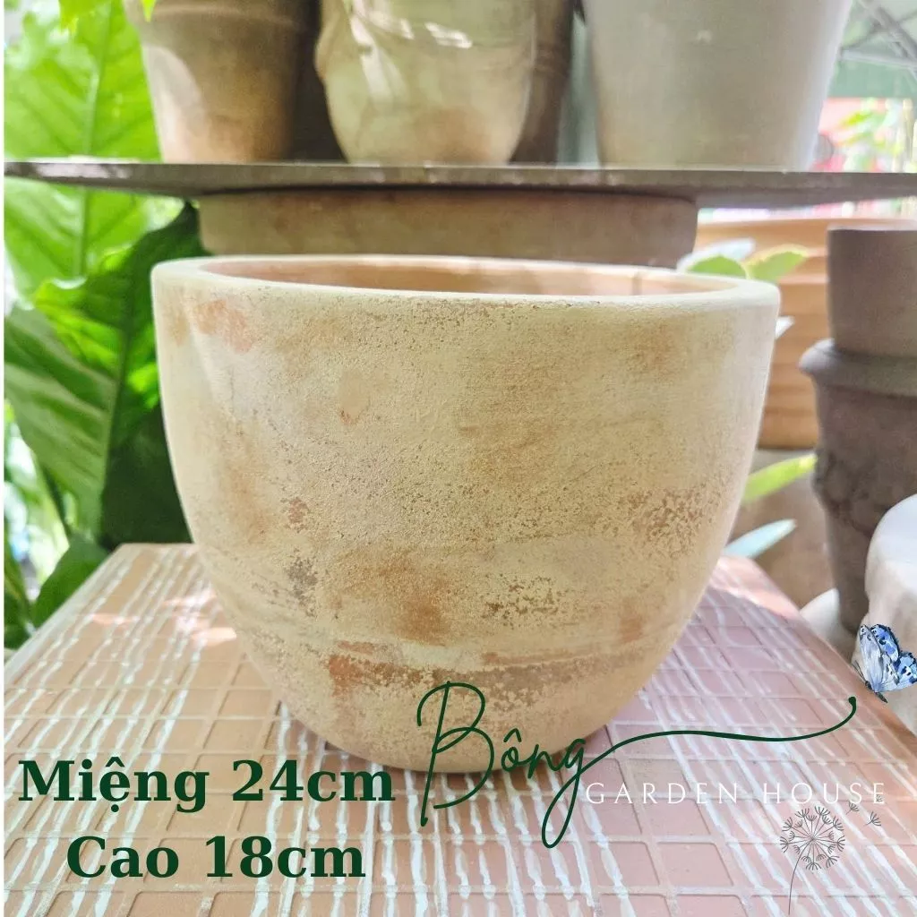 Khám phá sự kết hợp tinh tế giữa nghệ thuật và thiên nhiên trong từng chiếc chậu gốm trồng cây cảnh đất nung, điểm nhấn hoàn hảo cho mọi loại cây. Khám phá sự kết hợp tinh tế giữa nghệ thuật và thiên nhiên trong từng chiếc chậu gốm trồng cây cảnh đất nung, điểm nhấn hoàn hảo cho mọi loại cây.