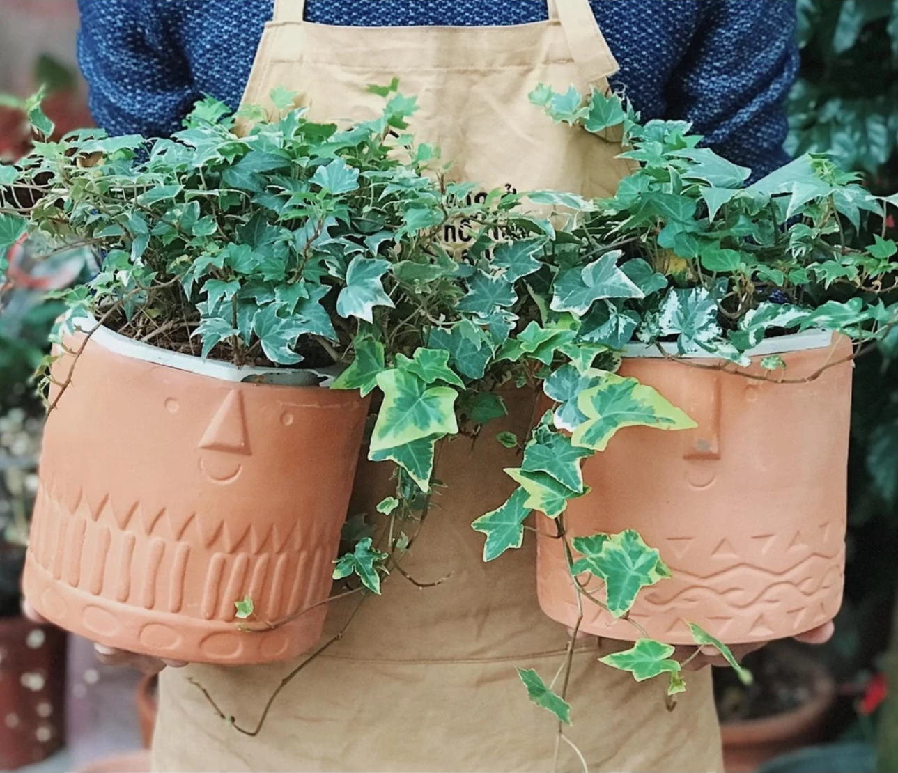 Chất liệu gốm đất nung thoáng khí, là ngôi nhà lý tưởng cho cây xanh Chất liệu gốm đất nung thoáng khí, là ngôi nhà lý tưởng cho cây xanh