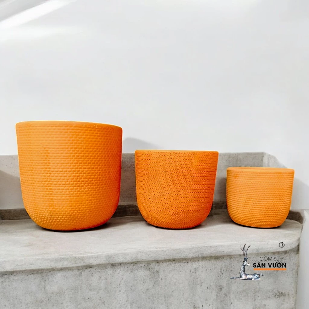 COMBO 10 Chậu Gốm Trồng Cây Nghệ Thuật - DA RẮN 8cm ĐỘC LẠ COMBO 10 Chậu Gốm Trồng Cây Nghệ Thuật - DA RẮN 8cm ĐỘC LẠ