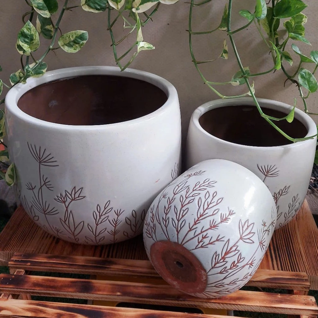 Chậu Gốm Trồng Cây Phong Thủy Này Nâng Tầm KHÔNG GIAN SỐNG. Chậu Gốm Trồng Cây Phong Thủy Này Nâng Tầm KHÔNG GIAN SỐNG.