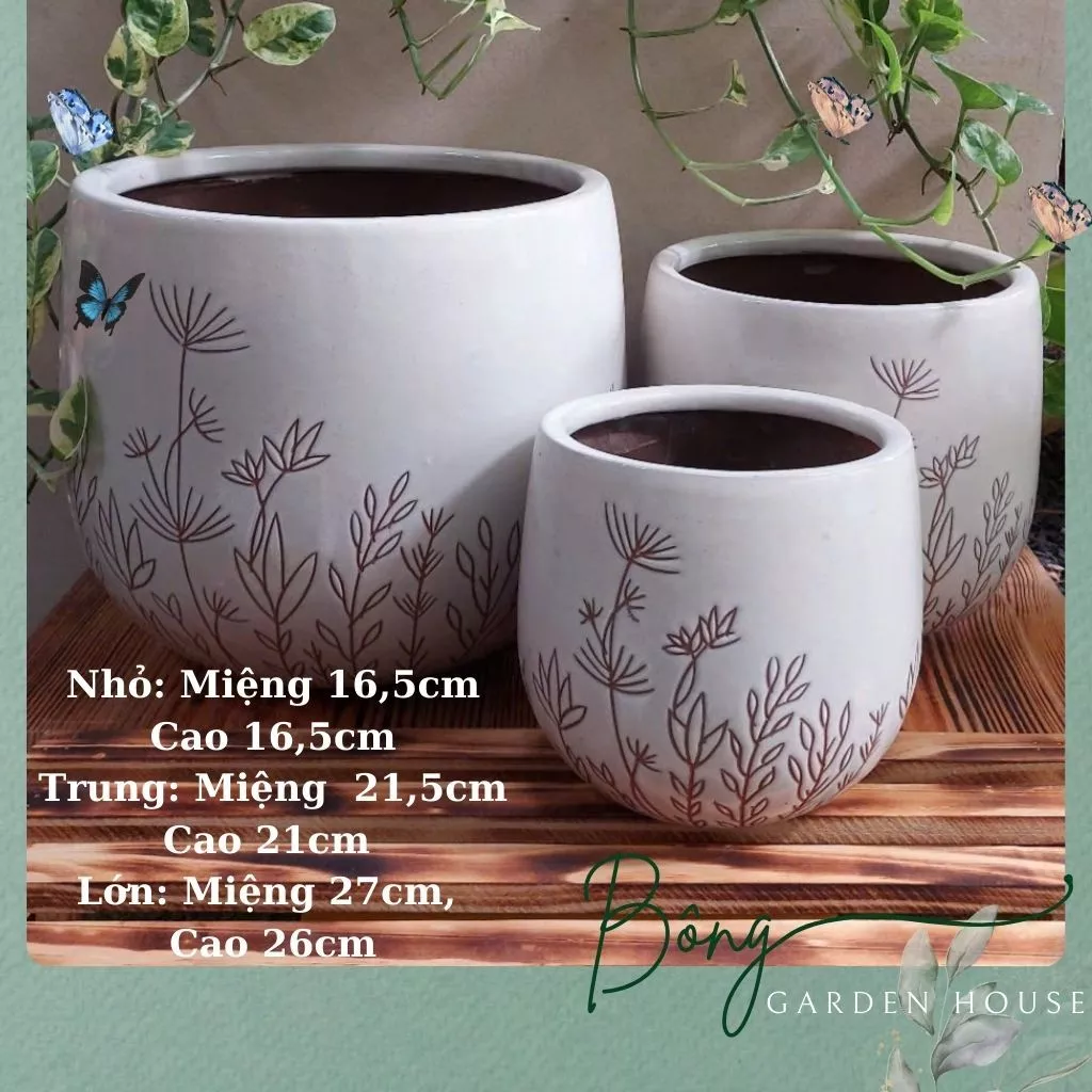 THỊNH VƯỢNG Gõ Cửa - Với Chậu Gốm Trồng Cây Phong Thủy Họa Tiết Bồ Công Anh. THỊNH VƯỢNG Gõ Cửa - Với Chậu Gốm Trồng Cây Phong Thủy Họa Tiết Bồ Công Anh.