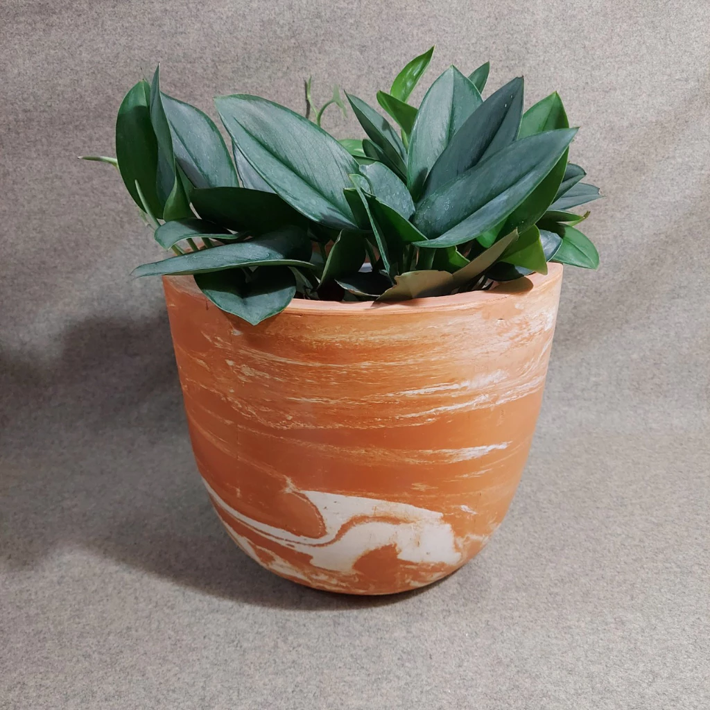 Mỗi chiếc chậu đất nung bầu kem sữa là một tác phẩm độc bản, một lựa chọn hoàn hảo cho những ai đang tìm kiếm một chậu gốm trồng cây đẹp và không đụng hàng. Mỗi chiếc chậu đất nung bầu kem sữa là một tác phẩm độc bản, một lựa chọn hoàn hảo cho những ai đang tìm kiếm một chậu gốm trồng cây đẹp và không đụng hàng.