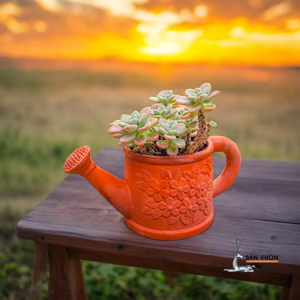 Chậu gốm trồng cây ĐỘC ĐÁO hình bình tưới, biến ban công thành vườn cổ tích. Chậu gốm trồng cây ĐỘC ĐÁO hình bình tưới, biến ban công thành vườn cổ tích.