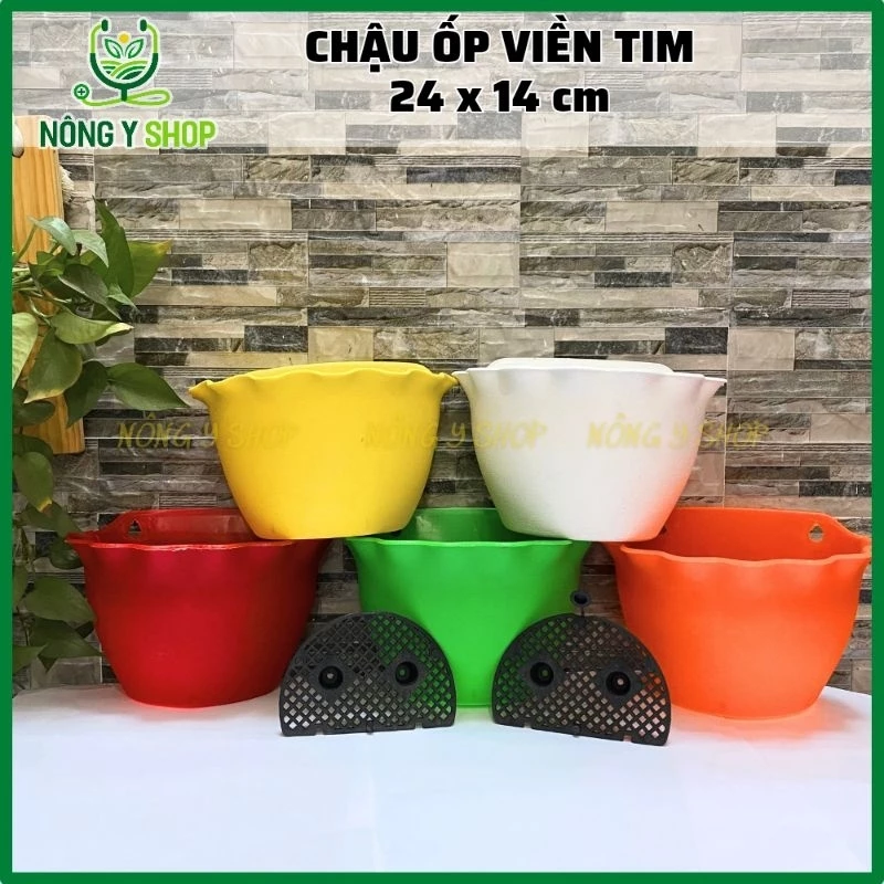 Mua chậu hoa thông minh là bước đầu tiên để sở hữu khu vườn mini tại gia. Mua chậu hoa thông minh là bước đầu tiên để sở hữu khu vườn mini tại gia.