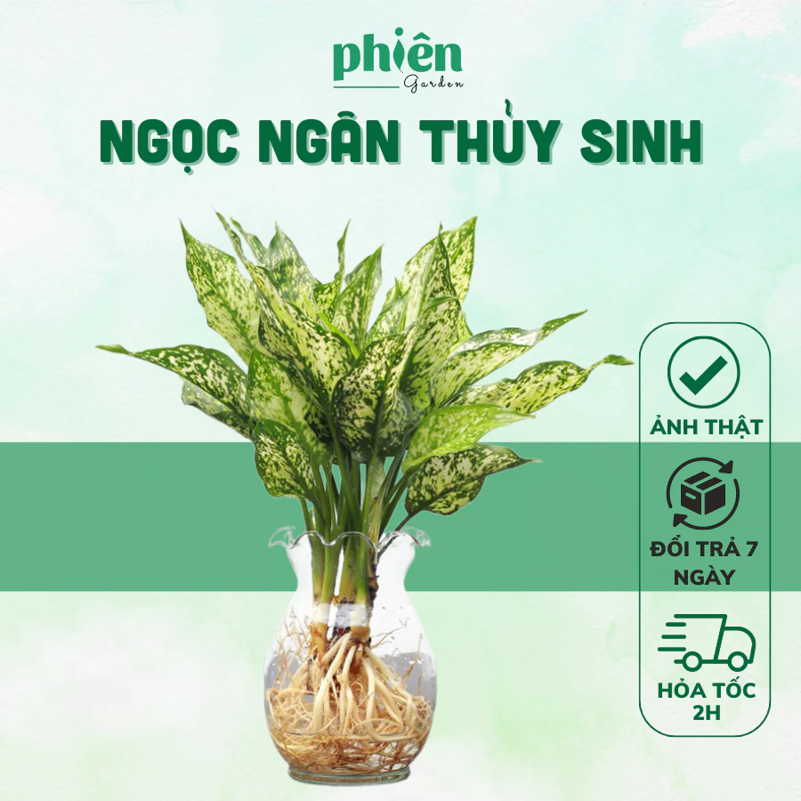 Biến Góc Làm Việc NHÀM CHÁN Trở Nên Sang Trọng Với Chậu Hoa Để Bàn Bằng Thủy Tinh. Biến Góc Làm Việc NHÀM CHÁN Trở Nên Sang Trọng Với Chậu Hoa Để Bàn Bằng Thủy Tinh.