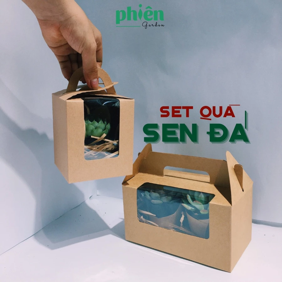Chậu hoa để bàn nhỏ xinh: Món Quà Sinh Nhật ĐỘC ĐÁO Thay Vạn Lời Nói Chậu hoa để bàn nhỏ xinh: Món Quà Sinh Nhật ĐỘC ĐÁO Thay Vạn Lời Nói