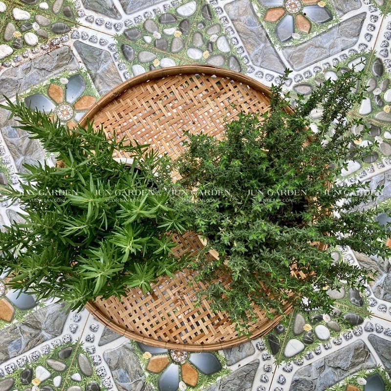 TIỀN VÀO NHƯ NƯỚC nhờ đặt đúng loại chậu hoa để bàn phong thủy này. TIỀN VÀO NHƯ NƯỚC nhờ đặt đúng loại chậu hoa để bàn phong thủy này.