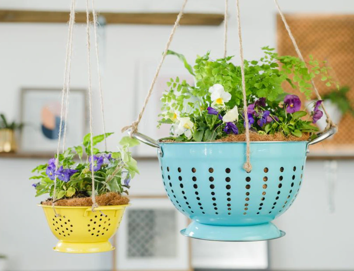 Không gian sống xanh mát hơn chỉ với một chiếc chậu hoa treo. Không gian sống xanh mát hơn chỉ với một chiếc chậu hoa treo.