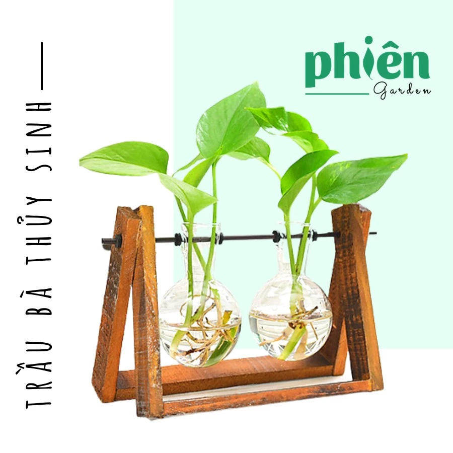 Sự kết hợp hoàn hảo giữa thiết kế hiện đại và vẻ đẹp thanh lịch Sự kết hợp hoàn hảo giữa thiết kế hiện đại và vẻ đẹp thanh lịch