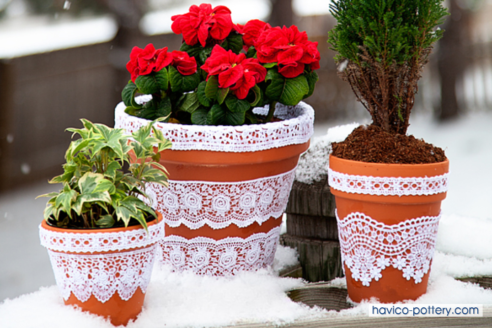 Hãy để những chậu trồng hoa đẹp này kể câu chuyện về khu vườn của bạn. Hãy để những chậu trồng hoa đẹp này kể câu chuyện về khu vườn của bạn.