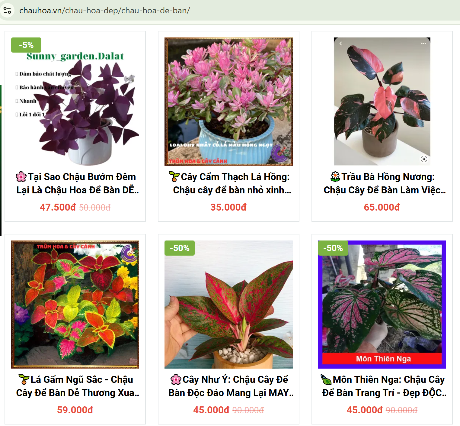 Thể hiện cá tính riêng qua từng lựa chọn chậu hoa độc đáo. Thể hiện cá tính riêng qua từng lựa chọn chậu hoa độc đáo.