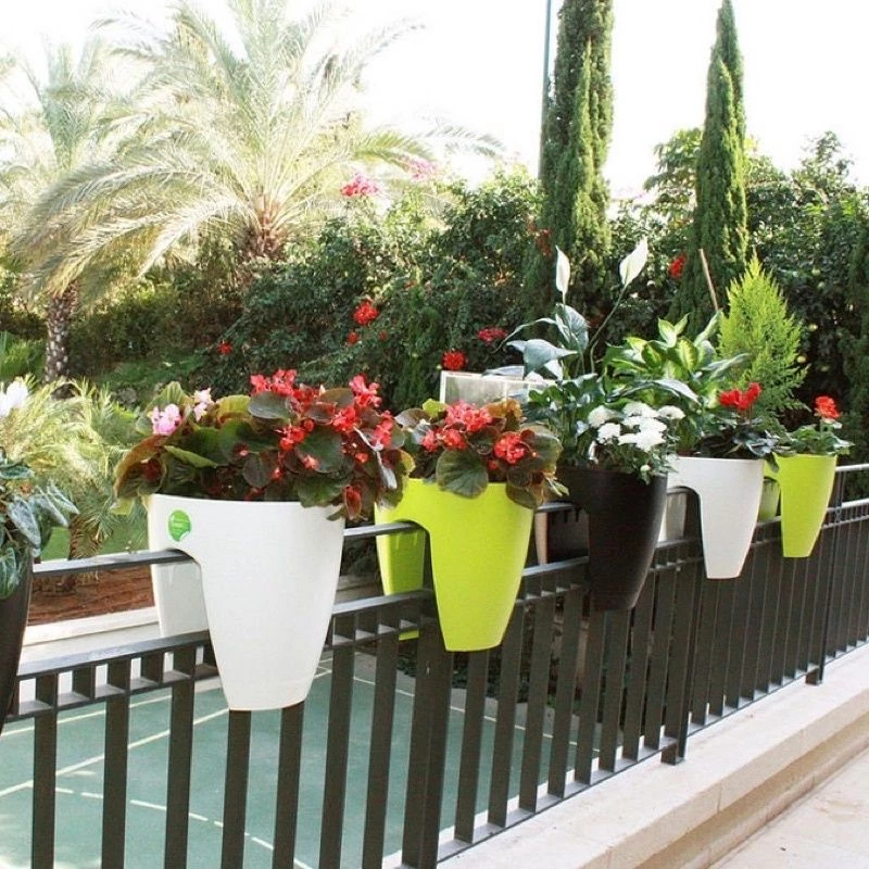 Mỗi chiếc chậu trồng hoa đẹp là một điểm nhấn tinh tế cho không gian. Mỗi chiếc chậu trồng hoa đẹp là một điểm nhấn tinh tế cho không gian.