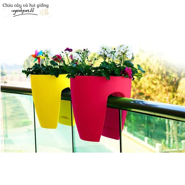 Chậu hoa nhựa – Lựa chọn thông minh cho không gian sống hiện đại. Chậu hoa nhựa – Lựa chọn thông minh cho không gian sống hiện đại.