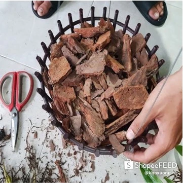 Đơn giản mà hiệu quả, mẫu chậu trồng lan này được nhiều người tin dùng. Đơn giản mà hiệu quả, mẫu chậu trồng lan này được nhiều người tin dùng.