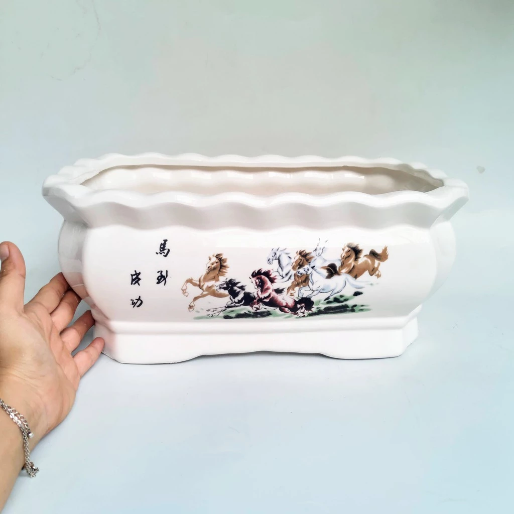 Bí Quyết Chọn Chậu Sứ Trồng Cây Cho Dân Văn Phòng Giúp Thu Hút TÀI LỘC. Bí Quyết Chọn Chậu Sứ Trồng Cây Cho Dân Văn Phòng Giúp Thu Hút TÀI LỘC.