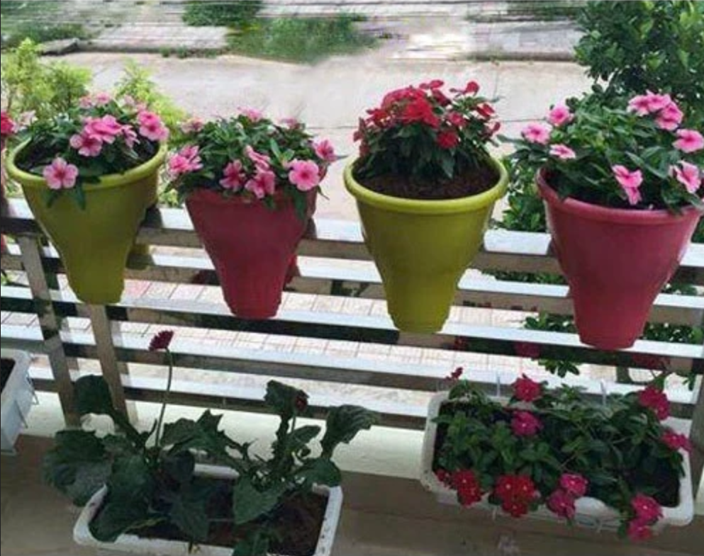 Biến tấu lan can, cửa sổ thành góc "chill" đầy thư giãn chỉ với một vài chiếc chậu hoa treo. Biến tấu lan can, cửa sổ thành góc "chill" đầy thư giãn chỉ với một vài chiếc chậu hoa treo.