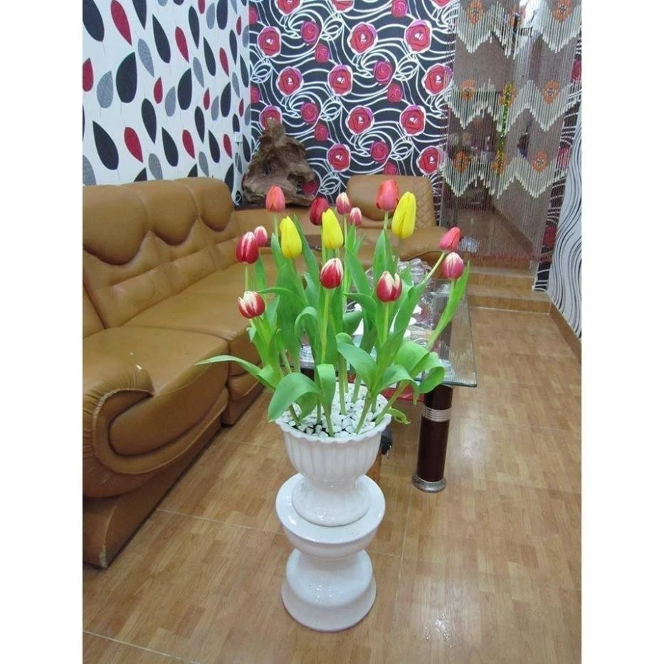 Món quà từ thiên nhiên: chậu hoa tulip cho không gian thêm sức sống. Món quà từ thiên nhiên: chậu hoa tulip cho không gian thêm sức sống.