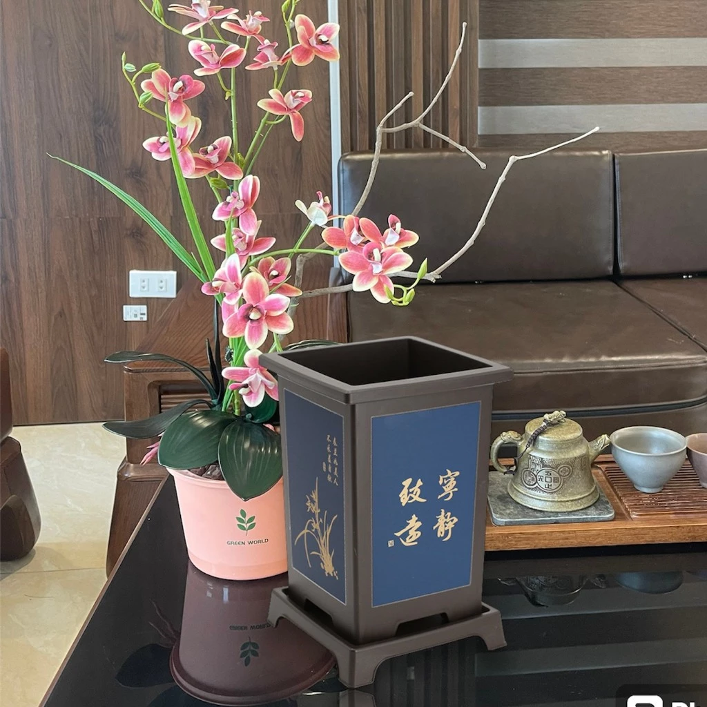 Khám phá bộ sưu tập chậu trồng lan đa dạng, giúp bạn thỏa sức sáng tạo. Khám phá bộ sưu tập chậu trồng lan đa dạng, giúp bạn thỏa sức sáng tạo.