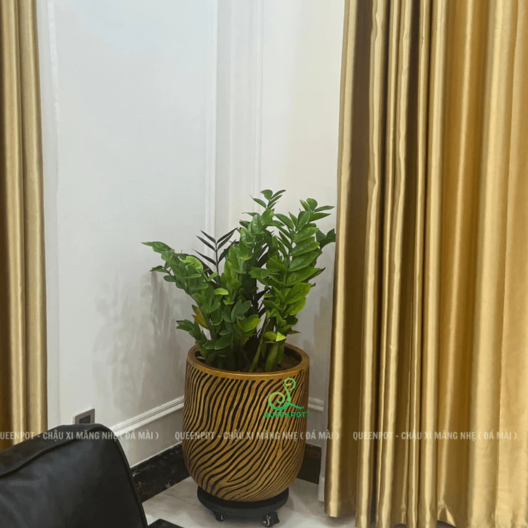 Chậu Xi Măng Nhẹ Trụ Tròn: Vẻ Đẹp TINH TẾ Từ Đường Viền Sóng Độc Đáo Chậu Xi Măng Nhẹ Trụ Tròn: Vẻ Đẹp TINH TẾ Từ Đường Viền Sóng Độc Đáo