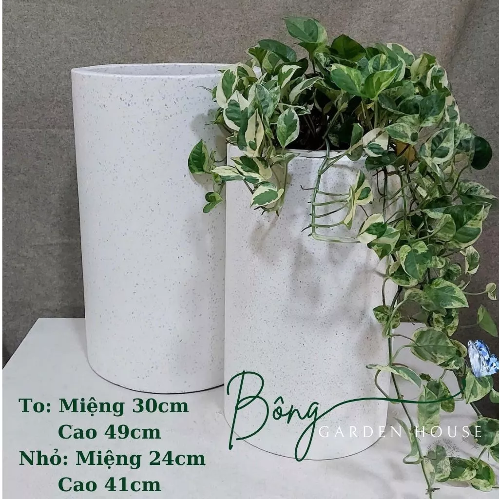 Chậu Xi Măng Tròn Cao Cấp: BỀN ĐẸP Vượt Thời Gian - Chuẩn Hàng Xuất Khẩu! Chậu Xi Măng Tròn Cao Cấp: BỀN ĐẸP Vượt Thời Gian - Chuẩn Hàng Xuất Khẩu!