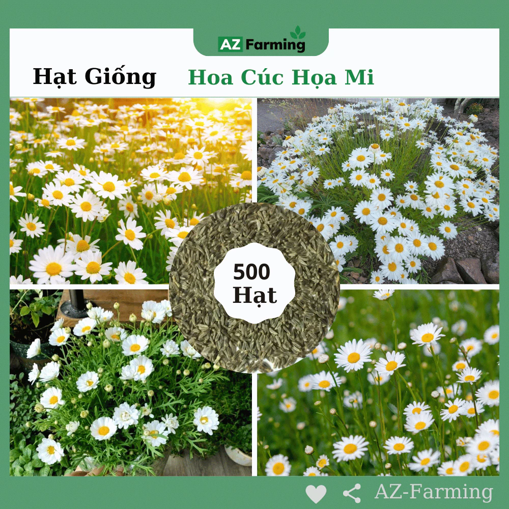 Lựa chọn chậu hoa đẹp treo ban công phù hợp làm ban công gọn gàng và thẩm mỹ hơn. Lựa chọn chậu hoa đẹp treo ban công phù hợp làm ban công gọn gàng và thẩm mỹ hơn.