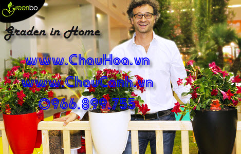 Trên thị trường bán chậu hoa hiện nay có rất nhiều loại chậu hoa đẹp với mẫu mã phong phú, bắt mắt Trên thị trường bán chậu hoa hiện nay có rất nhiều loại chậu hoa đẹp với mẫu mã phong phú, bắt mắt