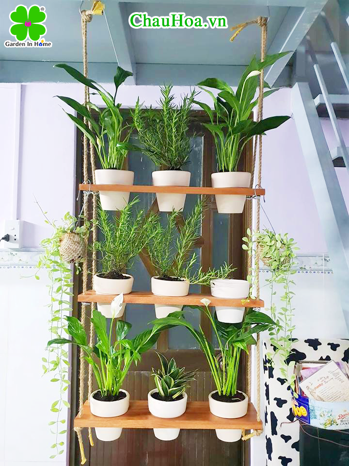 Chậu hoa chậu cảnh khung gỗ treo 3 tầng Chậu hoa chậu cảnh khung gỗ treo 3 tầng