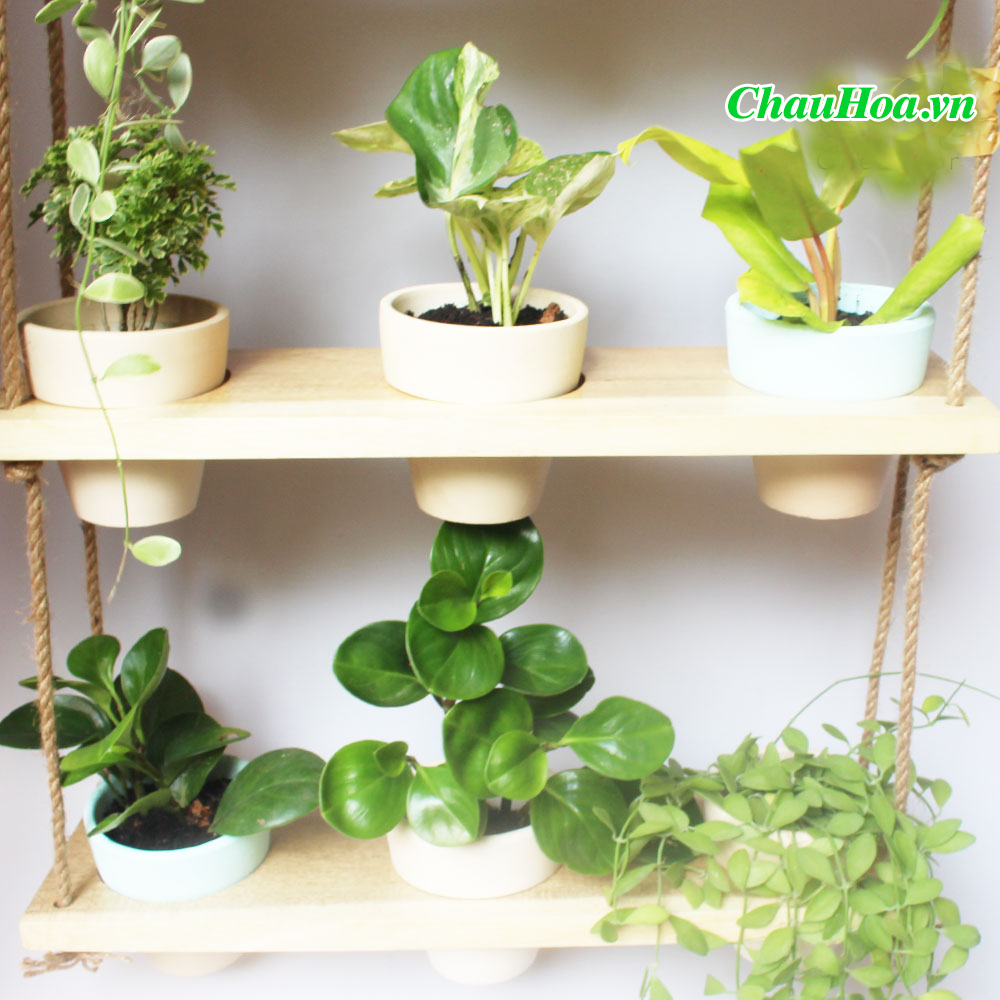 Chậu hoa chậu cảnh khung gỗ treo 3 tầng Chậu hoa chậu cảnh khung gỗ treo 3 tầng