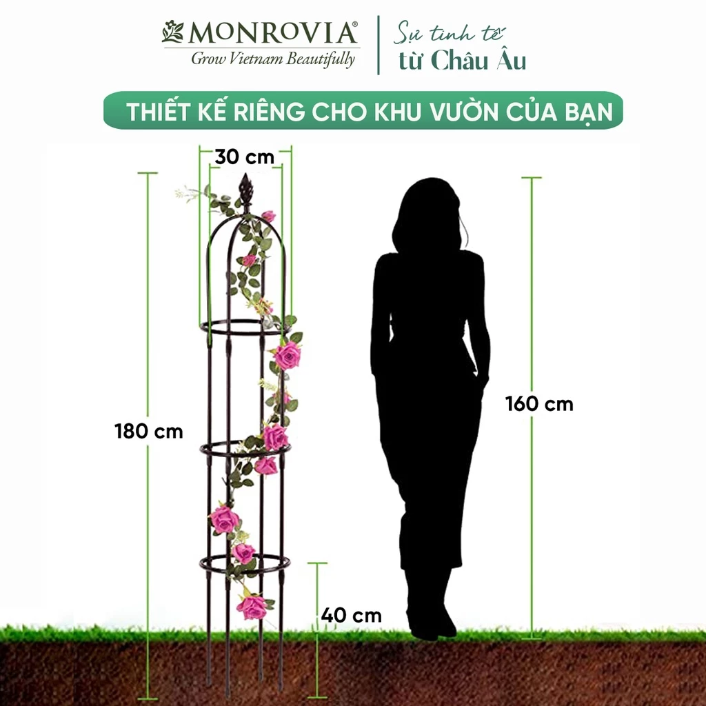 Chậu hoa cây cảnh hồng leo sang trọng, quý phái Chậu hoa cây cảnh hồng leo sang trọng, quý phái